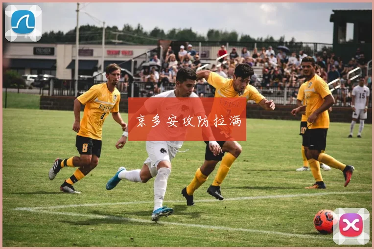 京多安攻防拉满